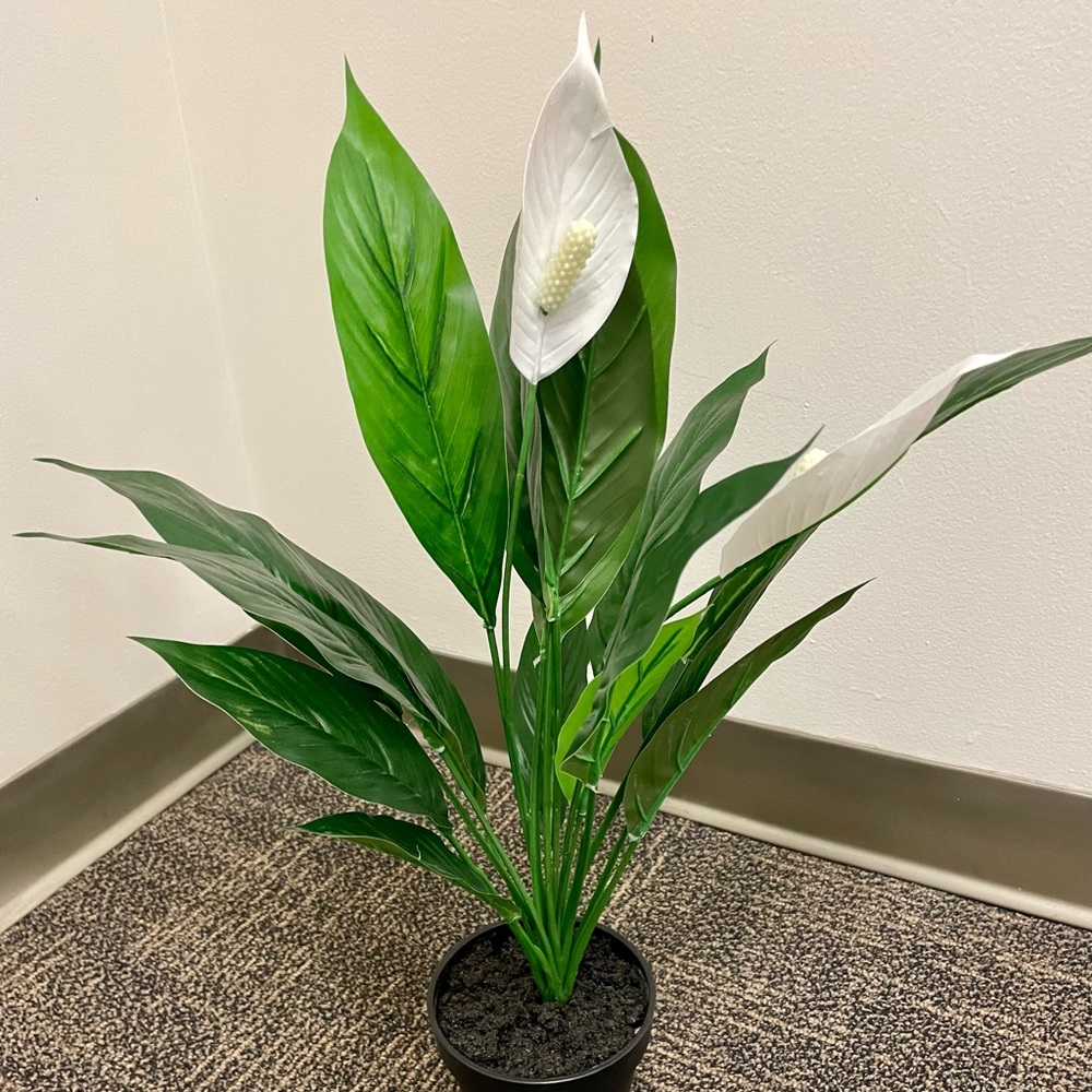 NWOT Faux White and Green Peace Lily Plant with Black Bottom Base Planter